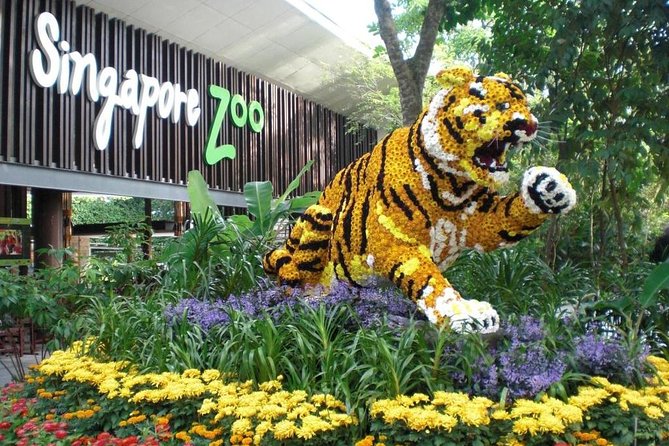 Singapore Zoo with Tram Ride
